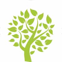 Transition écologique